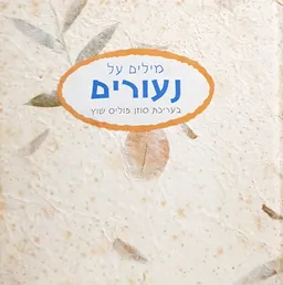 מילים על נעורים