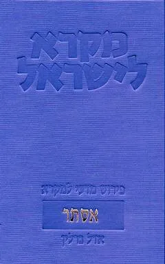 עטיפת הספר מקרא לישראל: אסתר מאת אדל ברלין