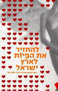 להחזיר את הפיות לארץ ישראל : רומן אוטוביוגרפי בדוי