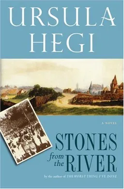 Stones from the river