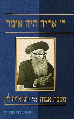 ר' אריה היה אומר