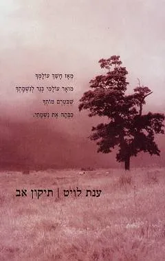 עטיפת הספר תיקון אב מאת ענת לויט