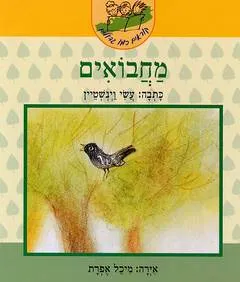 עטיפת הספר מחבואים מאת עשי וינשטיין