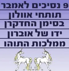 עטיפת אמבר
