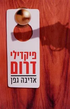 עטיפת הספר פיקדילי דרום מאת אדיבה גפן