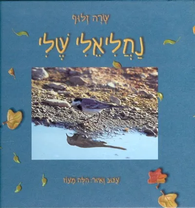 נחליאלי שלי
