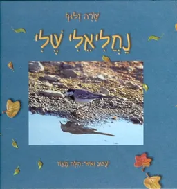 נחליאלי שלי