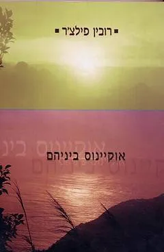 אוקיינוס ביניהם