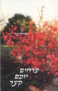 פרחים יומם קצר