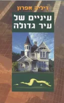עיניים של עיר גדולה
