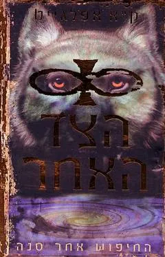 עטיפת הספר הצד האחר - החיפוש אחר סנה מאת ק. א. אפלגייט