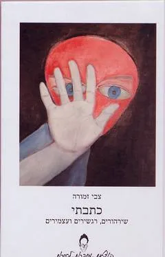 כתבתי