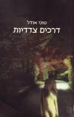 עטיפת דרכים צדדיות