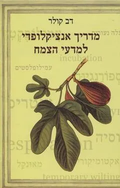 מדריך אנציקלופדי למדעי הצמח