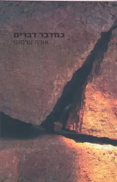 במדבר דברים