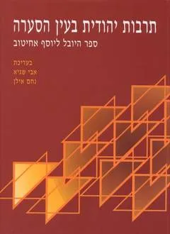עטיפת הספר תרבות יהודית בעין הסערה מאת אבי שגיא