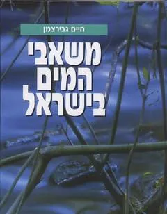 משאבי המים בישראל