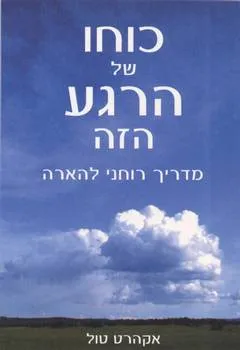 כוחו של הרגע הזה : מדריך מעשי