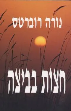 עטיפת הספר חצות בביצה מאת נורה רוברטס