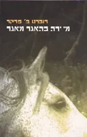 מי ירה בהאגר מאגר