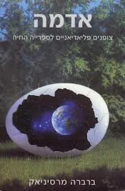 אדמה  