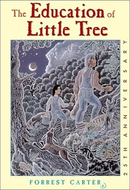 The education of little tree