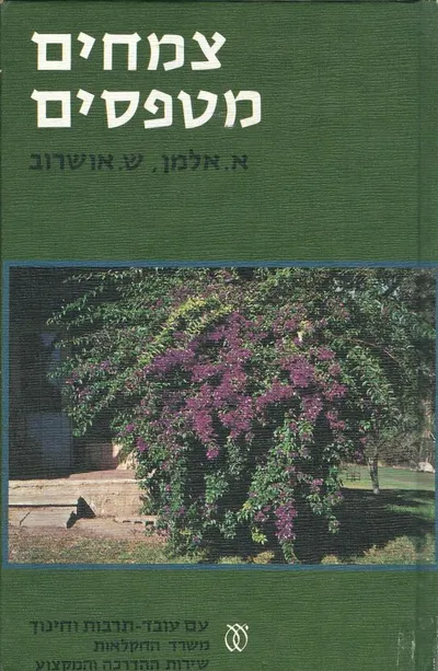צמחים מטפסים