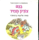 בנגו צודק תמיד