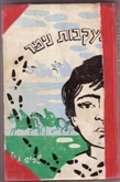 בעקבות נימר