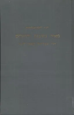 עטיפת הספר מאיר נתיבות ירושלים : חיי אברהם משה לונץ (תרט&quotו-תרע&quotח, (1918-1854 מאת חנה (לונץ) בולוטין