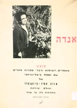 עטיפת הספר אנדה מאת זהבה ביילין