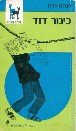 כינור דוד