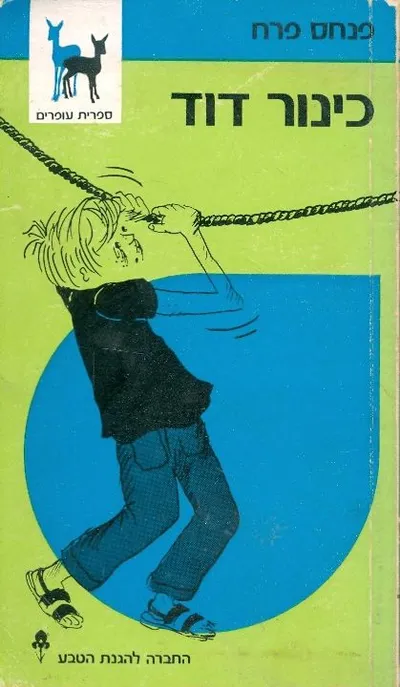 כינור דוד