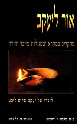 עטיפת הספר אור ליעקב מאת יאיר הופמן
