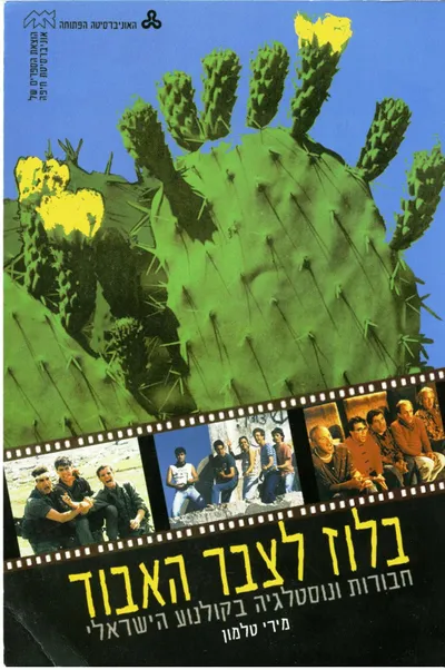 בלוז לצבר האבוד : חבורות ונוסטלגיה בקולנוע הישראלי