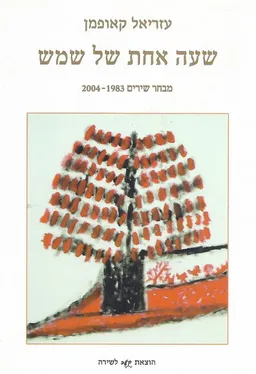 שעה אחת של שמש : מבחר שירים 2004-1983