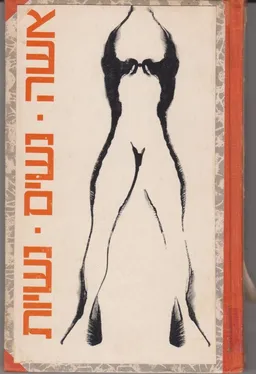 עטיפת אשה, נשים, נשיות : קובץ תרגומים