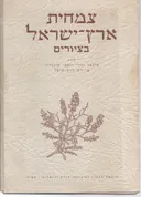 צמחית ארץ ישראל בציורים