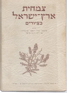 צמחית ארץ ישראל בציורים
