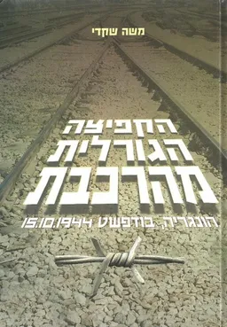 הקפיצה הגורלית מהרכבת
