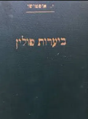 ביערות פולין : רומן