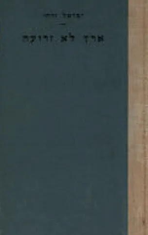 ארץ לא זרועה : רומן