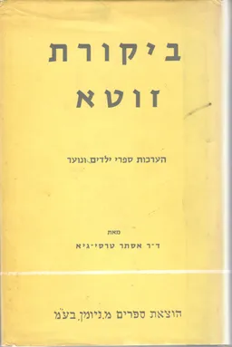 ביקורת זוטא 