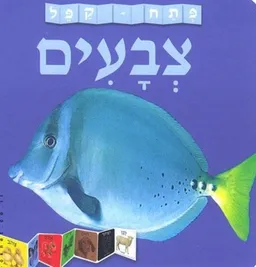 פתח-קפל צבעים
