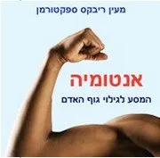 אנטומיה