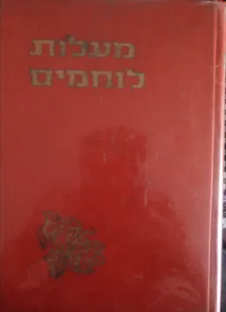 מעלות לוחמים