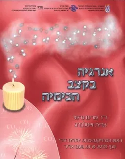 אנרגיה בקצב הכימיה