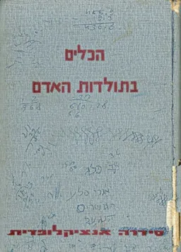הכלים בתולדות האדם
