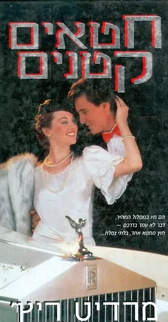 חטאים קטנים
