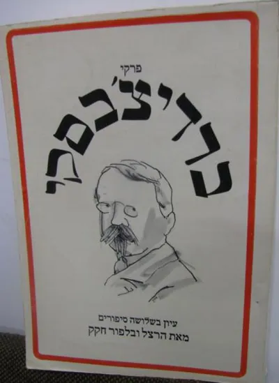 פרקי ברדיצ'בסקי : עיונים